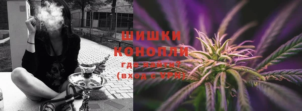 стафф Вязьма