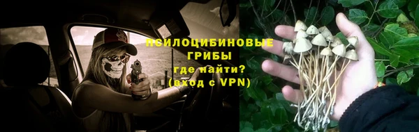 гидропоника Вязники