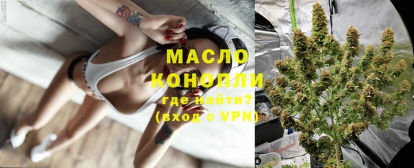 стафф Вязьма