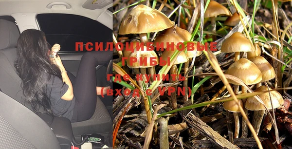 гашишное масло Вяземский