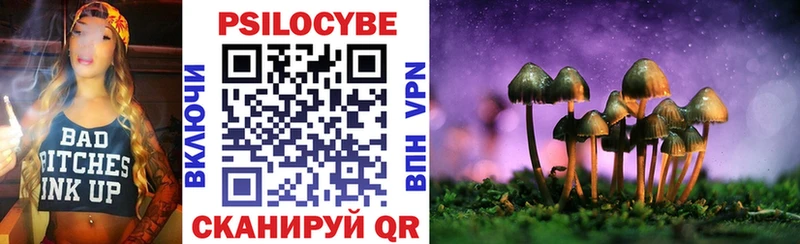 Галлюциногенные грибы Psilocybine cubensis  Емва 