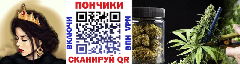 Бошки марихуана Bruce Banner  Емва 